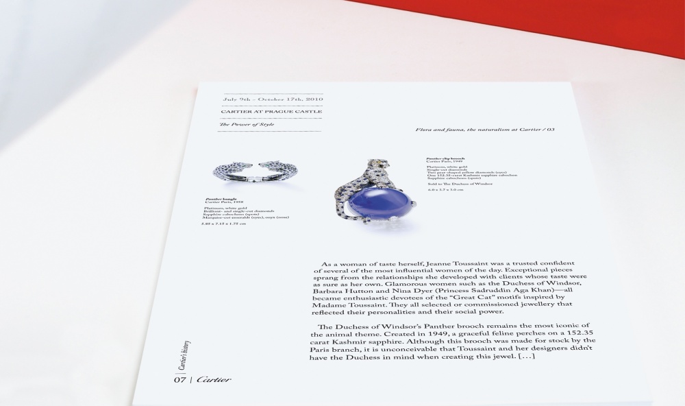 CARTIER THE POWER OF STYLE